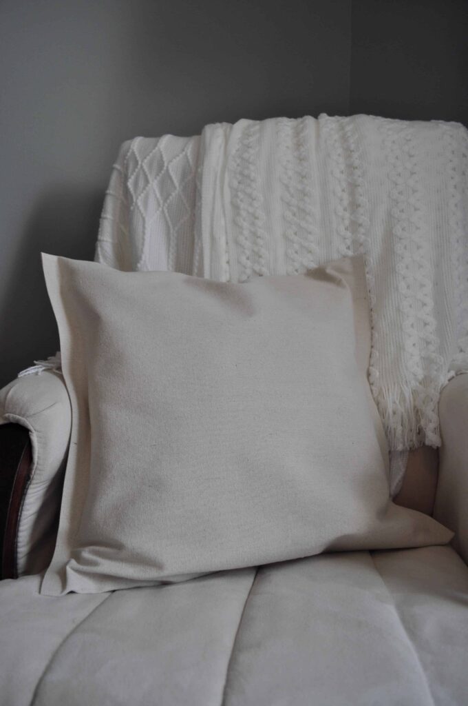 Drop Cloth Pillow