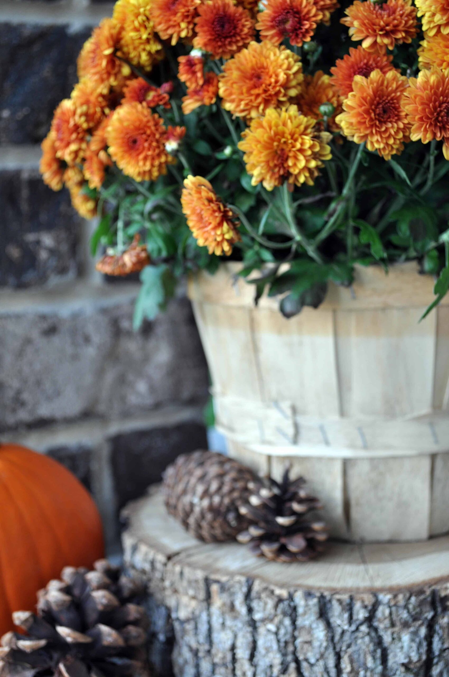 Fall Front Porch