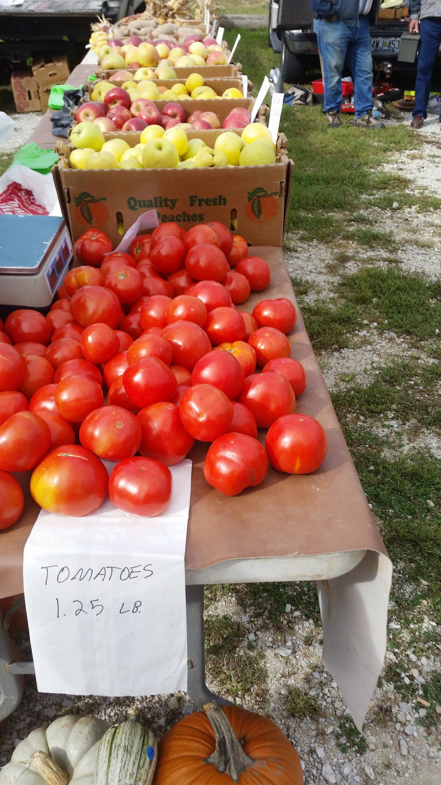 Tips and Tricks for the Flea Market