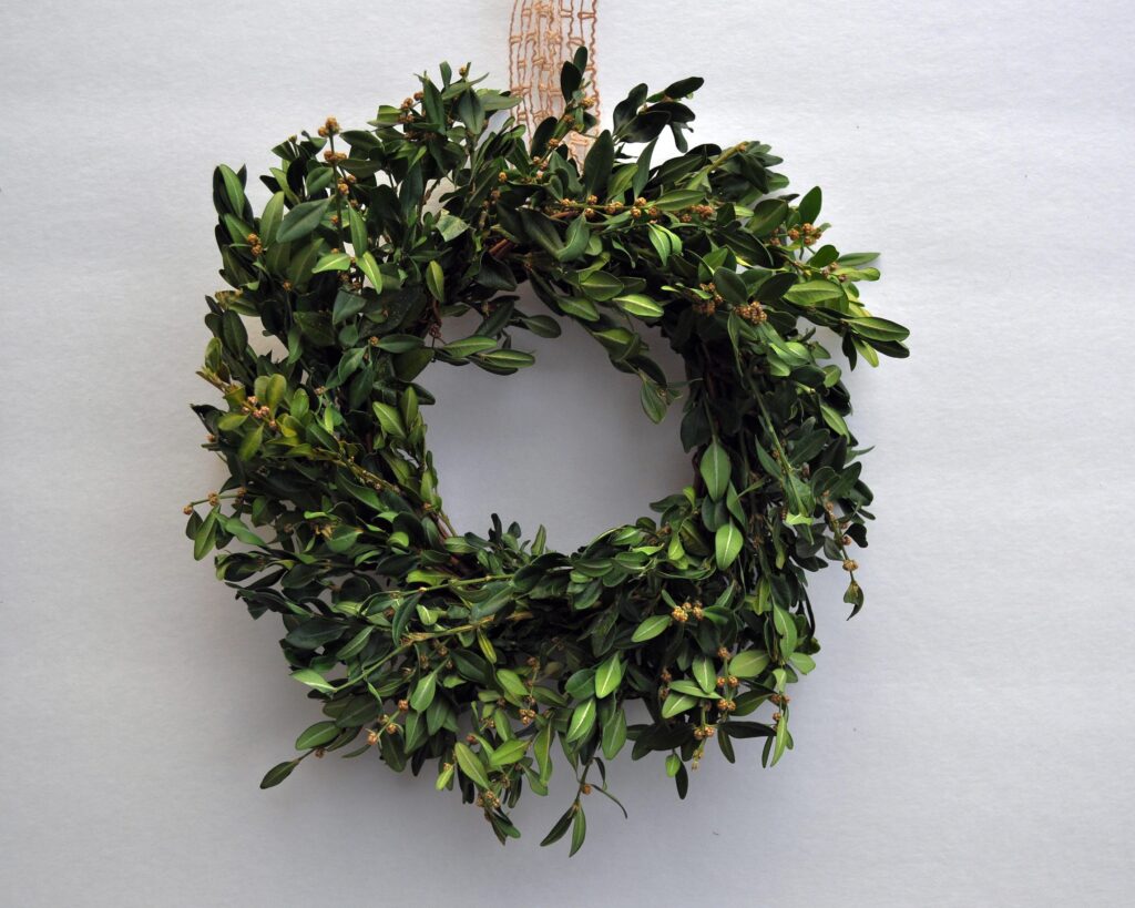Recycled Boxwood Mini Wreath