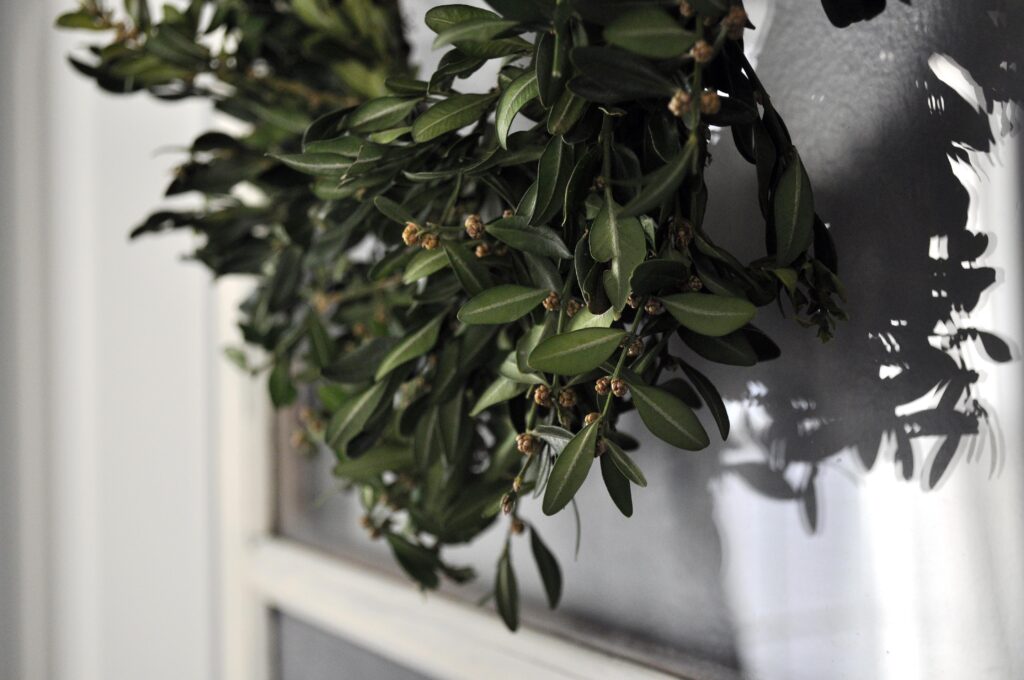 Recycled Boxwood Mini Wreath