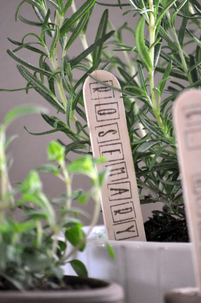 Indoor Herb Garden