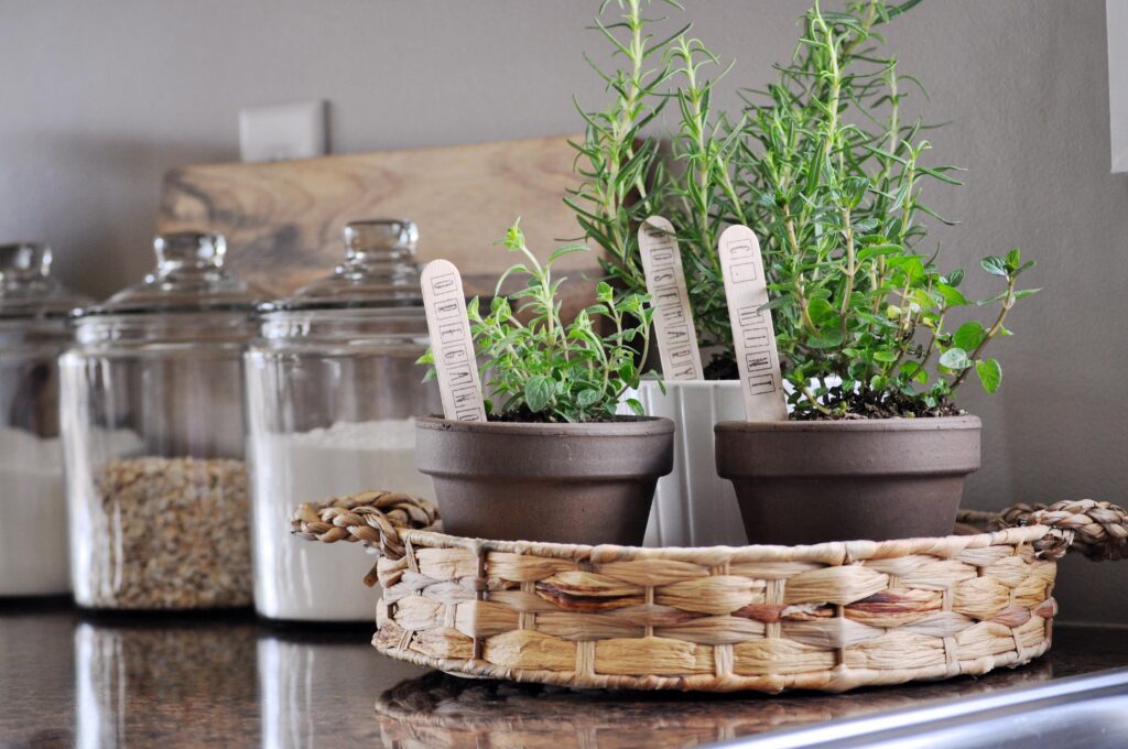 Indoor Herb Garden