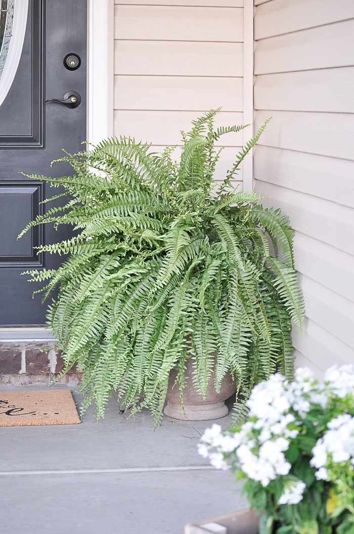 Five Simple Ways to Improve Your Curb Appeal