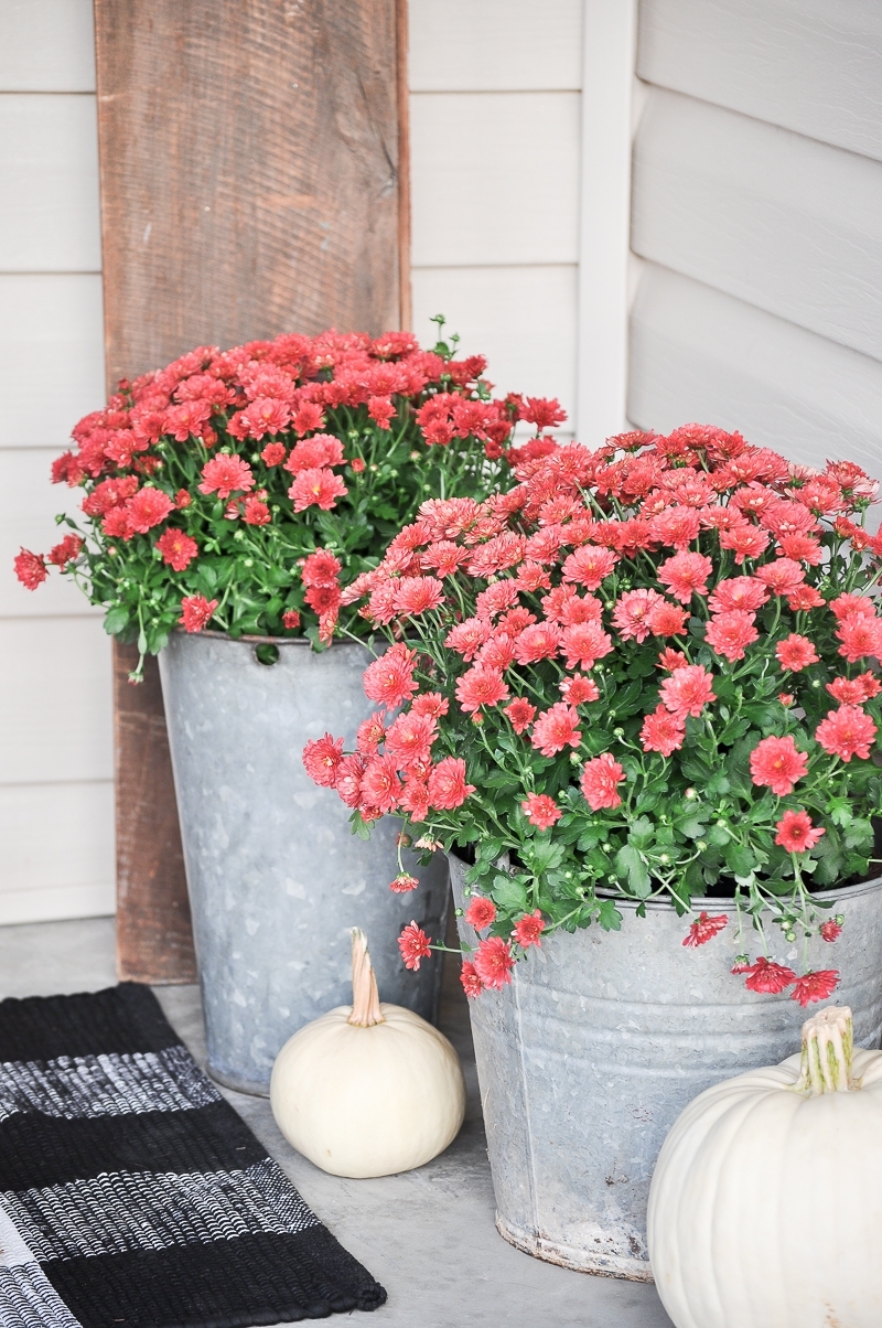 Cozy Fall Front Porch